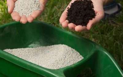 Organic Based Fertilizer