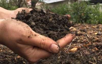 Organic Fertilizer