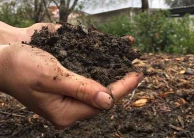 organic-fertilizer