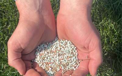 Controlled Release Fertilizer