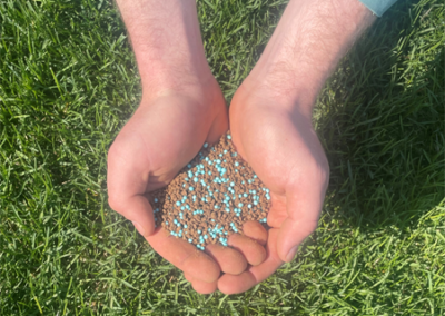 organic based fertilizer for lawns