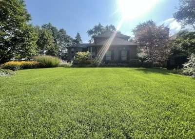 Lawn Treatments and Weed Control Service from Emerald Lawn Care