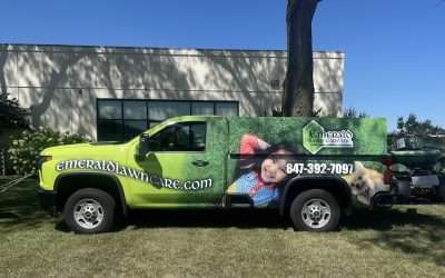 Taking Your Lawn to the Next Level with Emerald Lawn Care