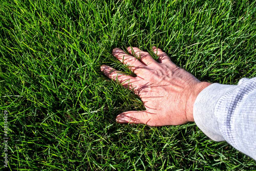 Lawn Aeration for a Healthy Green Lawn