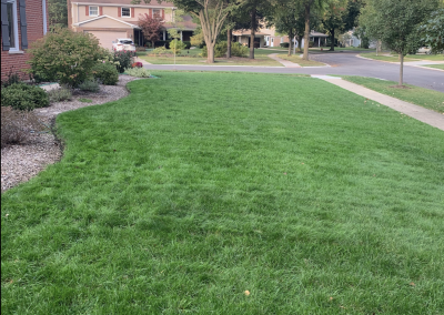 Lawn Care Near Me - Customer Lawn with green grass and no weeds