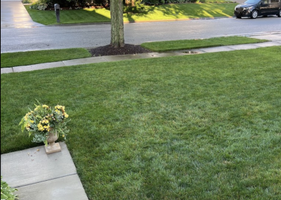 Lawn Care Service - Happy Lawn Care Customers Yard with Lush Green Grass